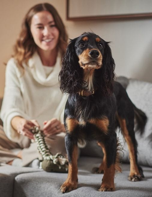 Sitting with dog